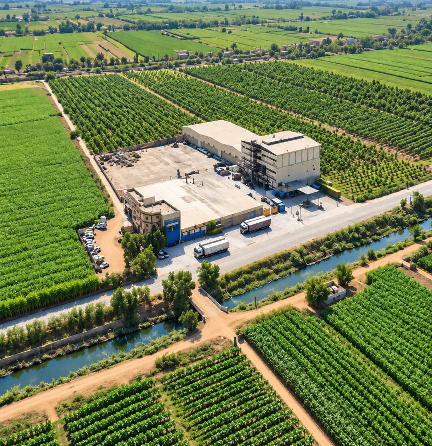 Free Foods food manufacturing and production